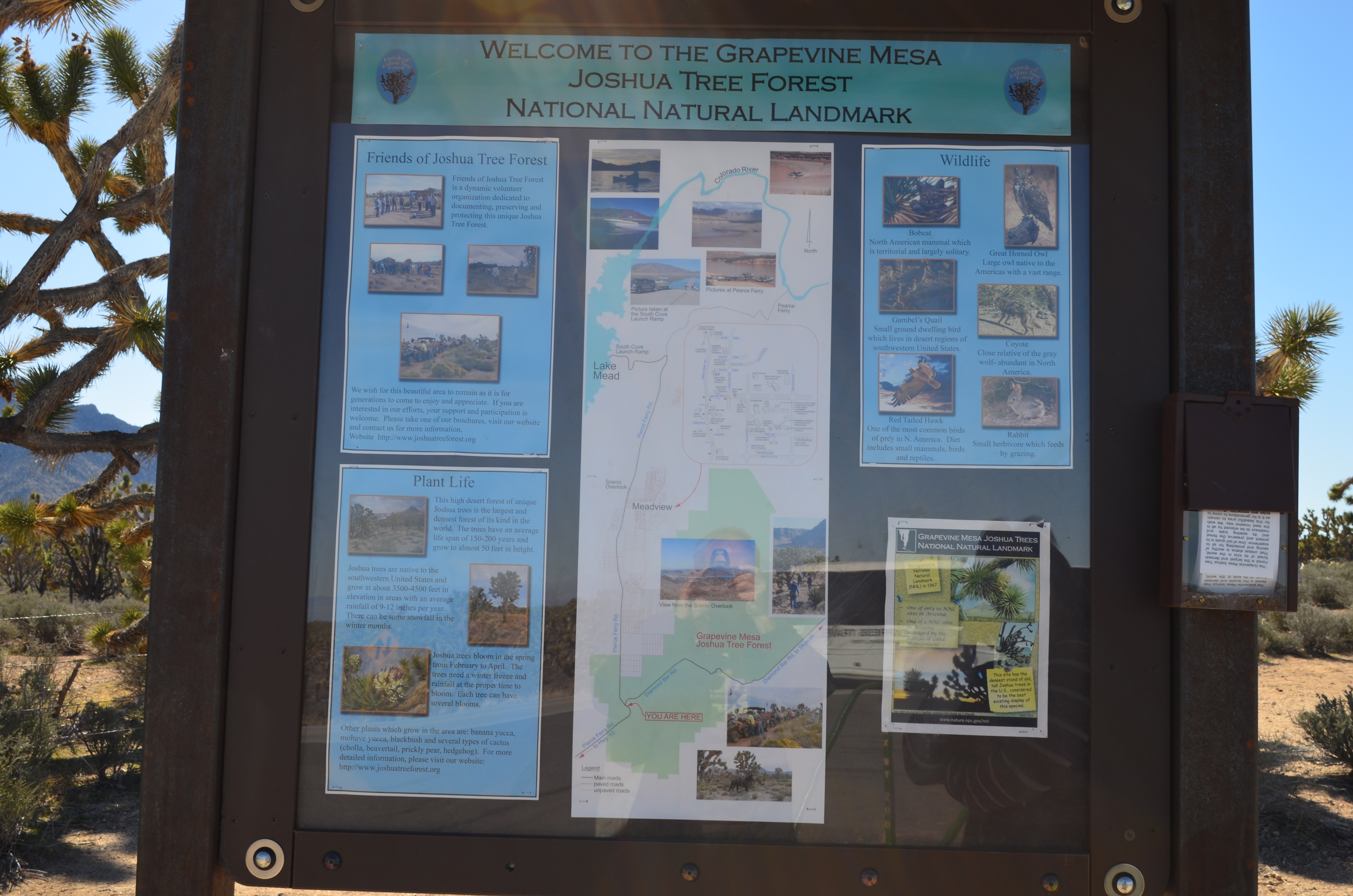 ./2016/04 - Las Vegas/Grand Canyon Skywalk/DSC_0114.JPG